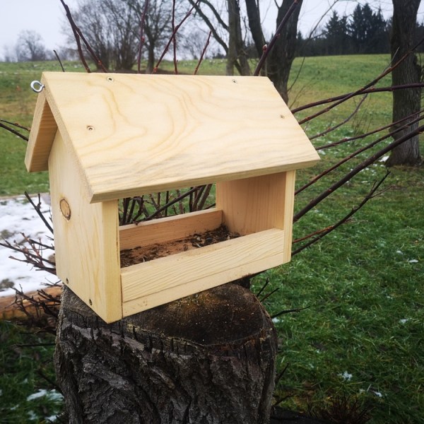 Wintervögel im Garten füttern und beobachten