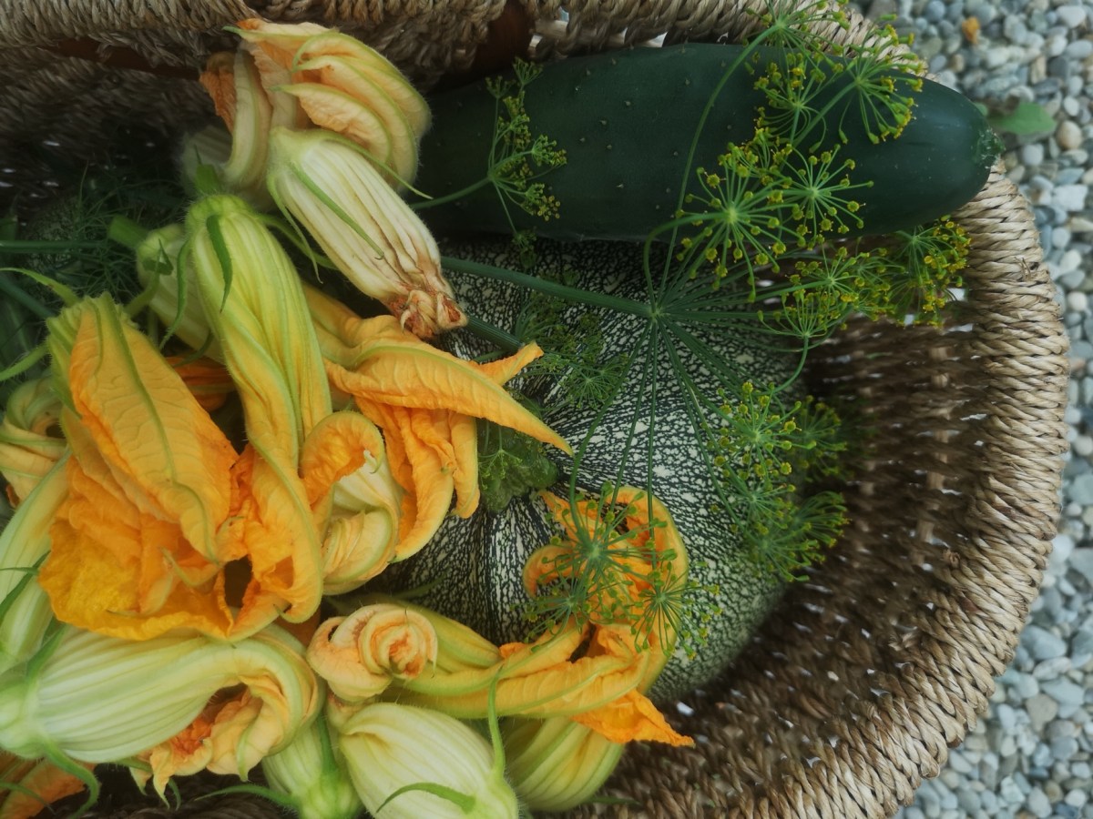 Unsere Garten Motto für 2025