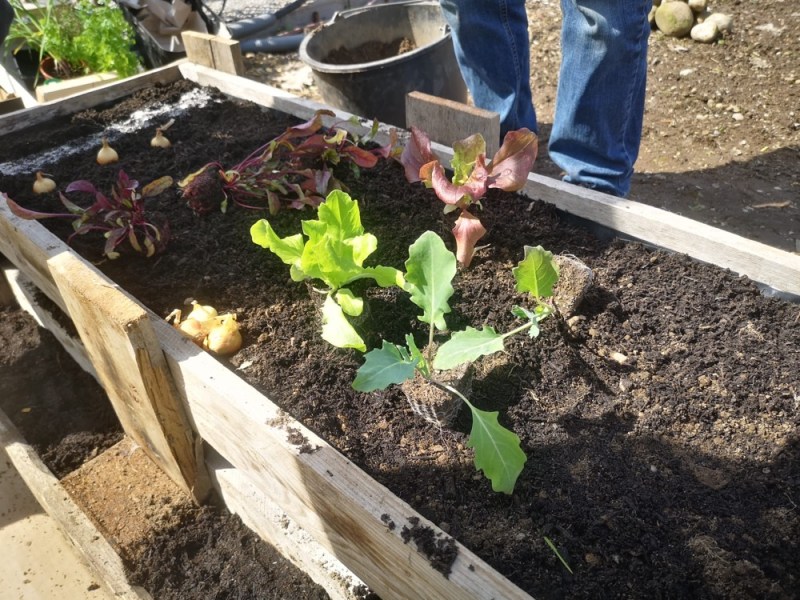 Anleitung zum Bau eines Hochbeets
