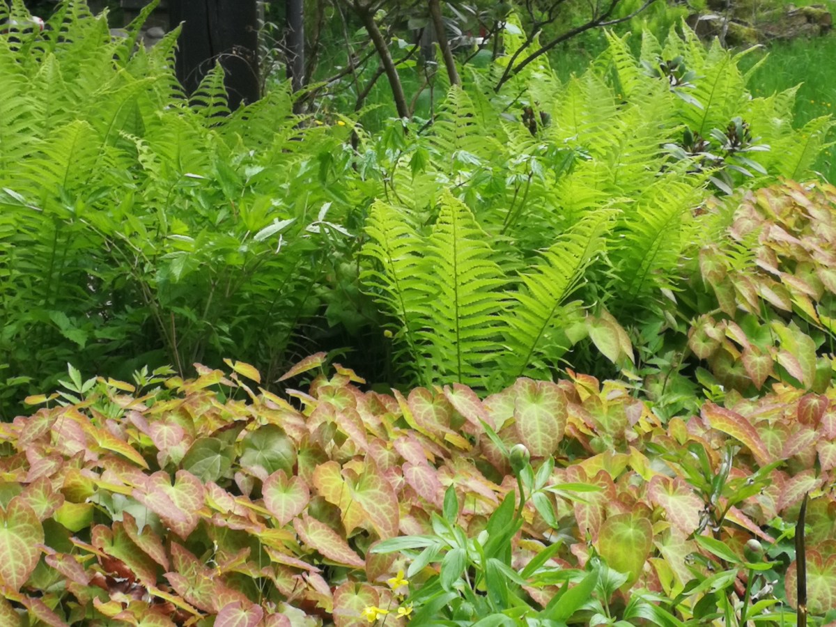 Kreislehrgarten am Schloss Amerang