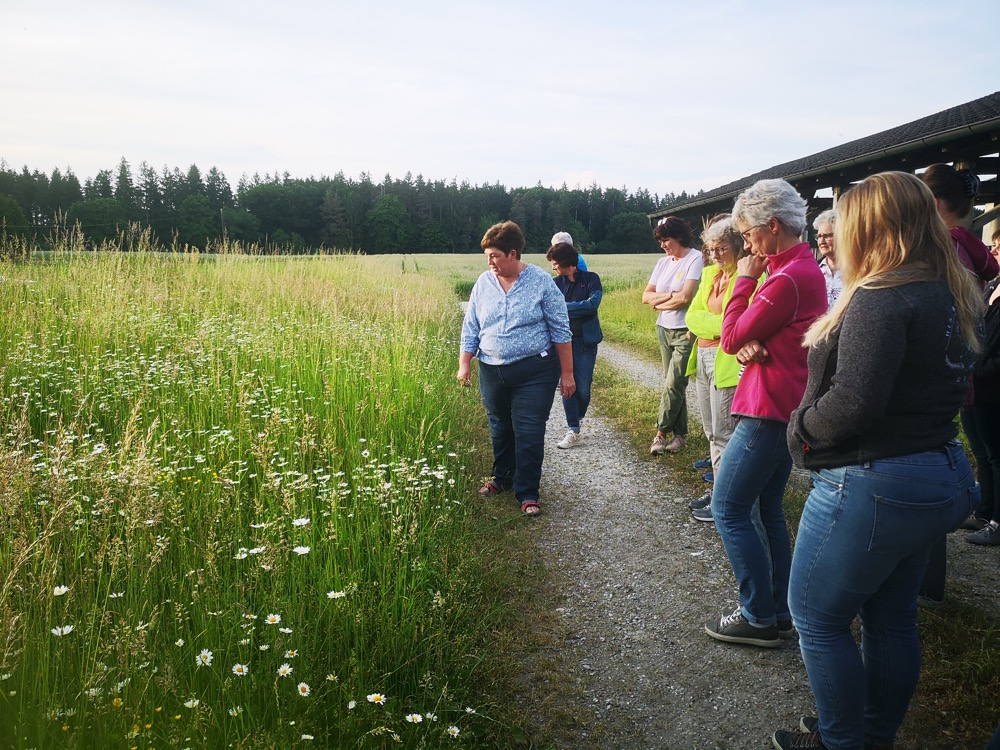 2023_krauterfuhrung-01