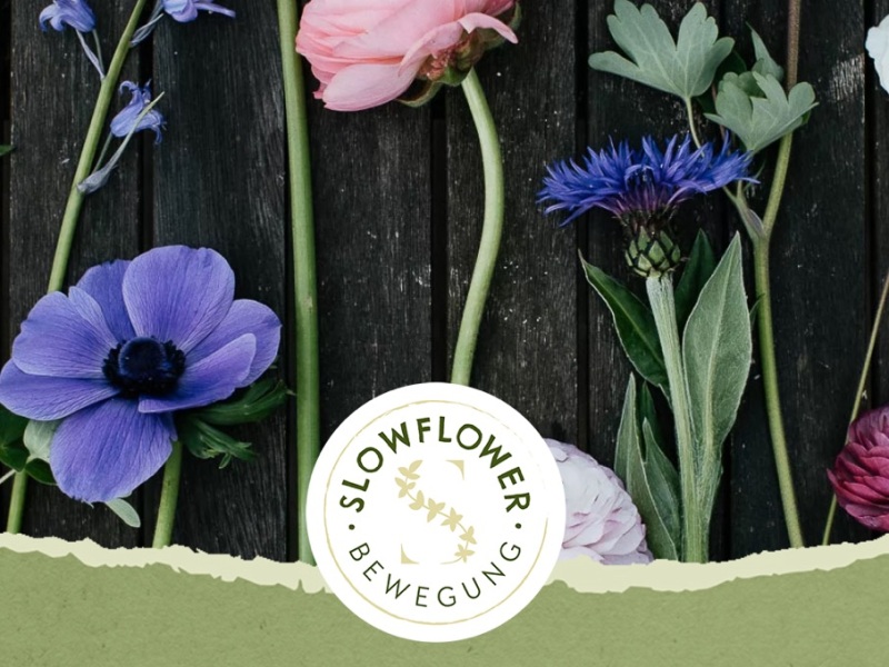 „Slowflowers“: Schnittblumen regional!