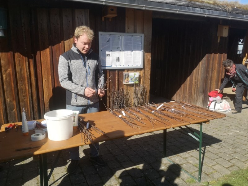 Umveredeln von Obstgehölzen (Veredelungskurs)