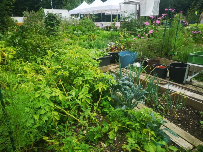 Naturgartenzertifizierung 2026