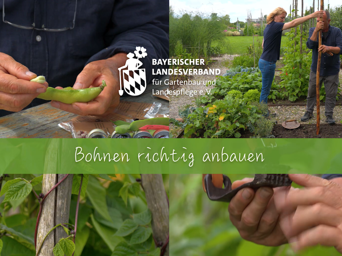 Neu: Gartenbauberatung in einem Videopodcast