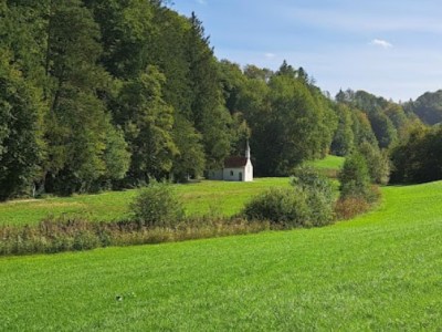Rundwanderung in Piusheim, Baiern (Ebersberg)