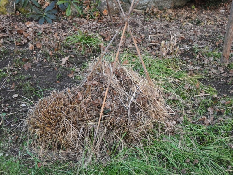 Winterschlafplatz für Igel