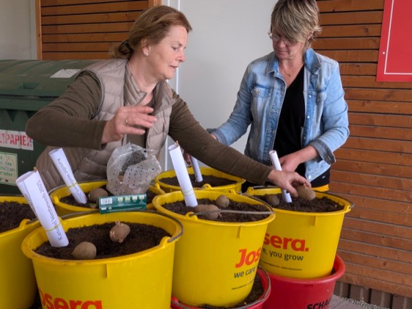 Staudentausch mit Kinderprogramm