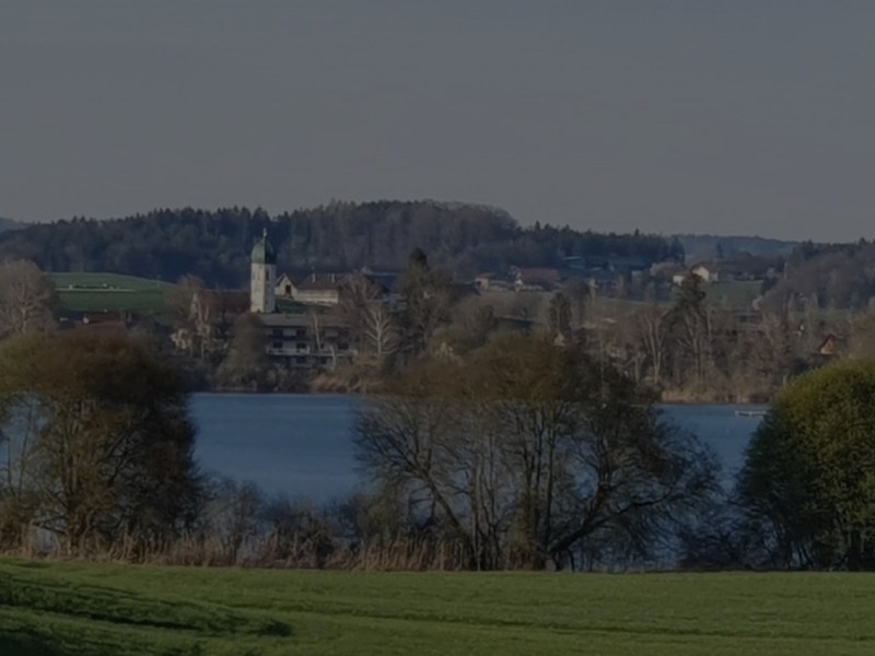 Mehr Fledermäuse in Soyener Kirchen