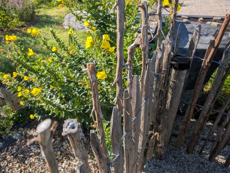 Ein einfaches Zuhause für Wildbienen