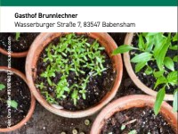 2-tägiges Gartenseminar: Saatgutbörse