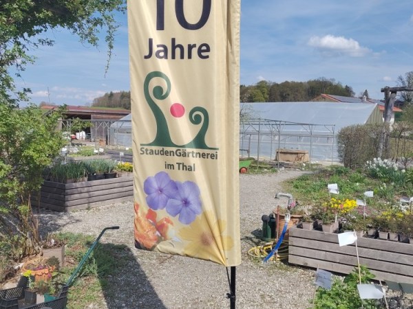 10-jährigen Jubiläums der Staudengärtnerei im Thal: “Abendlicher Rundgang – Lichtstimmung”